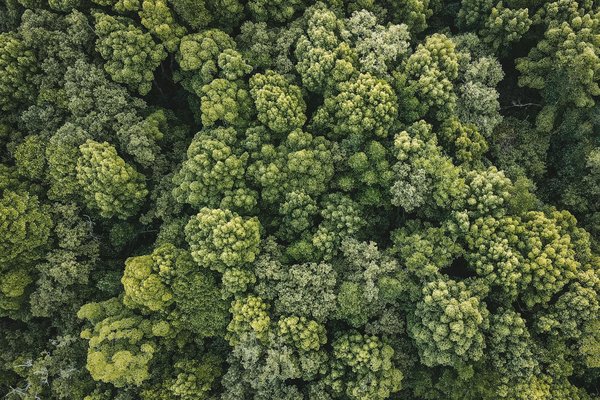 Comment les programmes sociaux boostent-ils l'accompagnement des familles ?